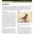 Capulin Volcano NM Landbirds